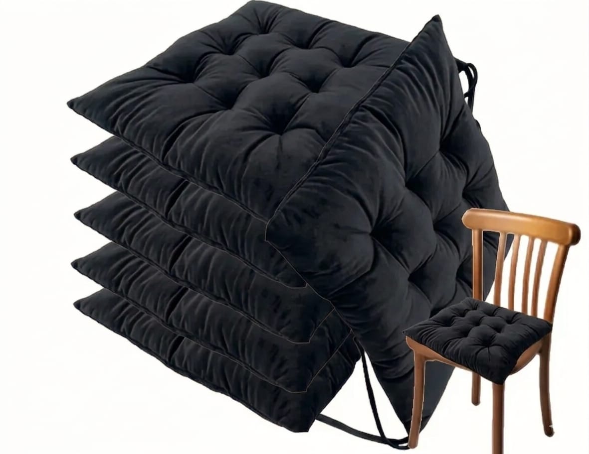 Coussin de chaise